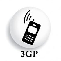 3GP